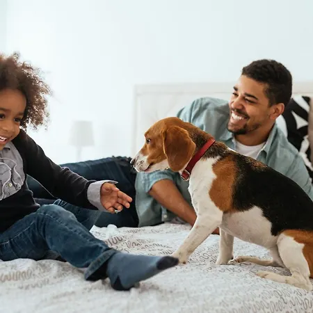 Citadines Centre Frankfurt 4* Fráncfort del Meno