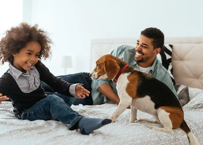 Citadines Centre Frankfurt 4* Frankfurt am Main